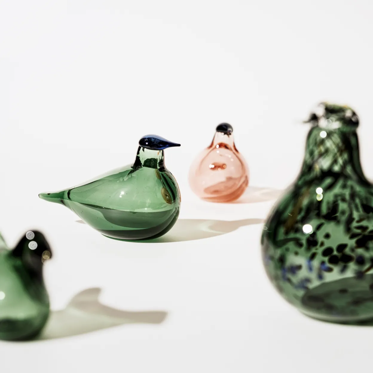 Birds by Toikka Chiffchaff 130x80mm laxrosa