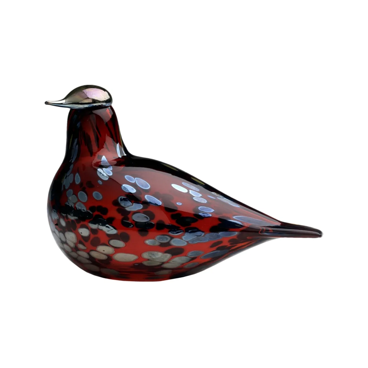 Ruby bird tranbär