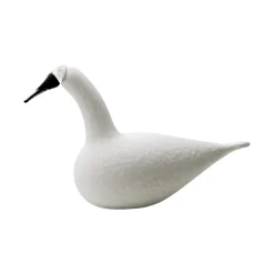 Sångsvan vit 330x210